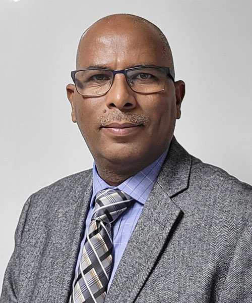 Prof. Amanuel Tekleab, PhD