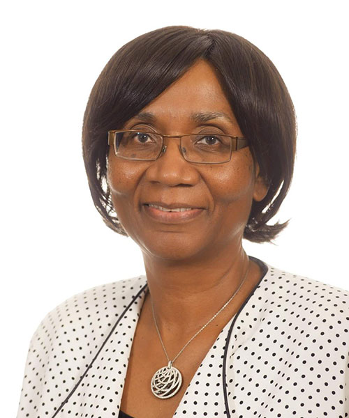 Prof.-Stella-M.-Nkomo,-PhD